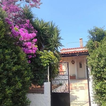 Olive Grove Cottage Skalani Knossós Exterior foto